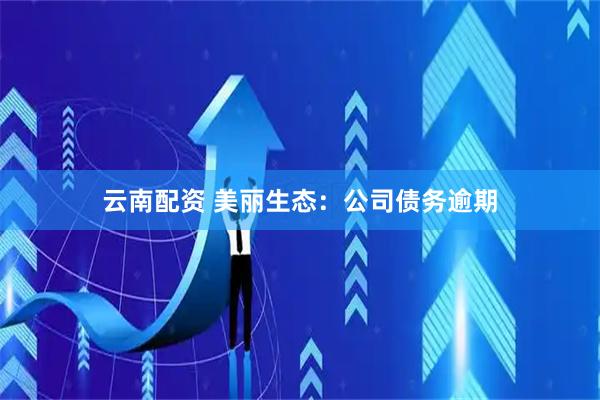 云南配资 美丽生态:公司债务逾期